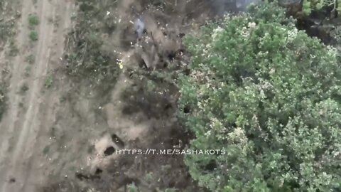 "Brave" Battalion UAV's Are Terrorizing Ukrainian Militants In The Seversky Direction