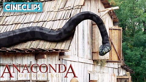 Killer Anaconda! | Anaconda 3: Offspring |