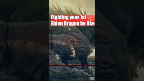 Elden Ring - Your 1st Elden Dragon be like