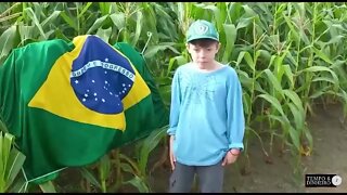 Bandeira do Brasil defendida por produtor Mirim de Santarém no Pará