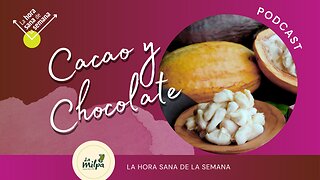 Cacao y chocolate