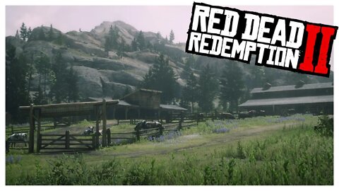 Episode 13 | It's Hard Being A Normie | Red Dead Redemption 2