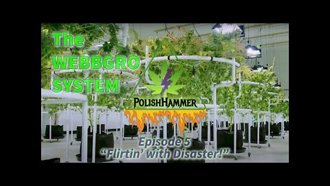 WebbGro System Ep.5 "Flirtin' with Disaster!" 🕸🌲👽🔨 #WEBBGRO #NORTHGENETICS #MAC1 #SPIDERFARMER #420