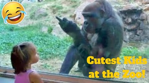 💥Cutest Kids At The Zoo Viral Weekly LOL😅😜 of 2019 Funny Animal Videos💥👌