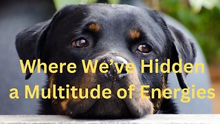 Where We’ve Hidden a Multitude of Energies ∞The 9D Arcturian Council, by Daniel Scranton 3-20-23