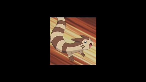 Top 10 Furret Card Art Ranking!