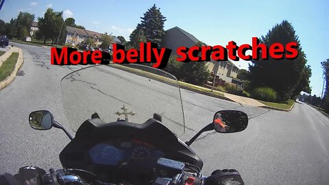 Maggie the adorable cute Maltese dog meets me when I come home on my motorcycle