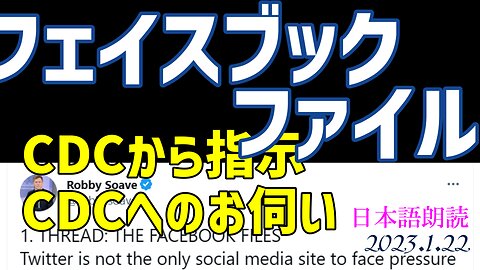 フェイスブック ファイル THE FACEBOOK FILES[日本語朗読]050122