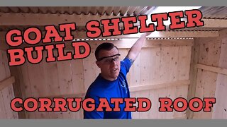 DIY 8X10 Goat Shelter Build |Corrugated Roof| |Nigerian Dwarf Goats|