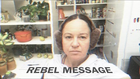 Star Wars rebel message: We will not eat your crickets! (translated by R 2 D 2)