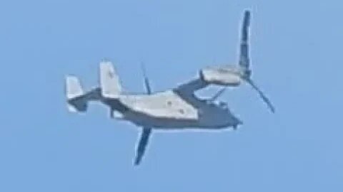 Osprey sighting Flying through clouds 10-28-23