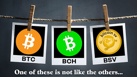 Why BCH and BSV Are So Fragile Compared to BTC 🤔