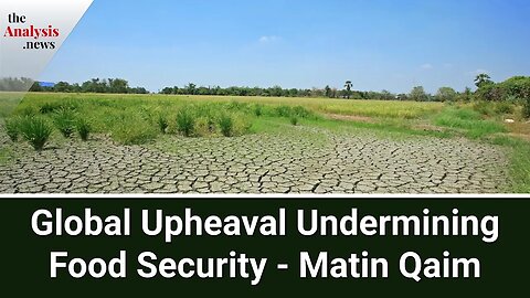 Global Upheaval Undermining Food Security - Matin Qaim