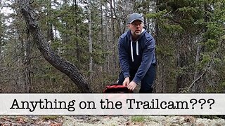 Episode 26 - Checking the Trailcam... WOW!!!