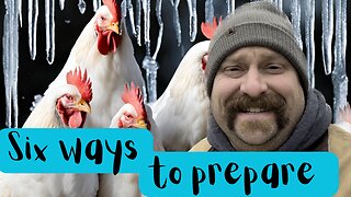 Winter Chicken Care: 6 Proven Methods to Prepare Your Coop