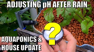 Adjusting pH of Overflowing Aquaponics System