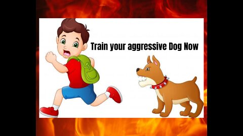 Train your aggressive Dog Now