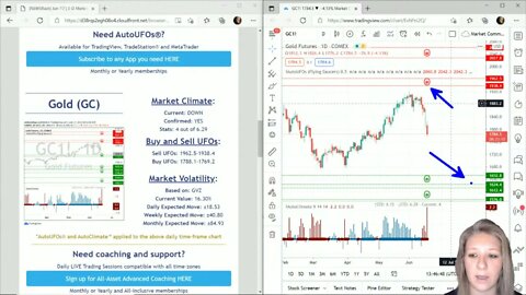 AutoUFOs 3-D Market Commentary (Becky Hayman) 2021 Jun-17