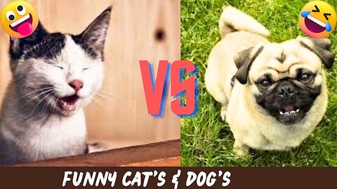 Funny animal videos | funny cat and dogs videos | funny videos 2023 | funny videos for kids #1