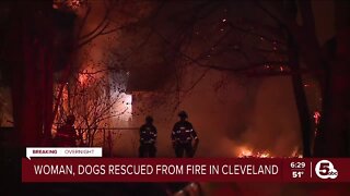 Woman, dogs rescued from Cleveland house fire