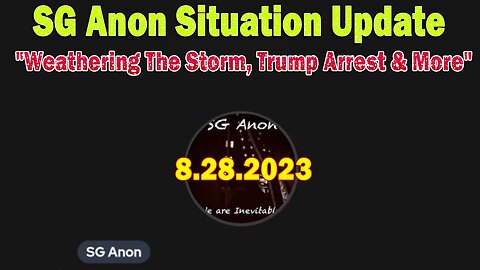 SG Anon Situation Update 8.28.23: "Weathering The Storm, Trump Arrest & More"