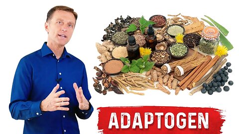 What are Adaptogens? – Ashwagandha Explained by Dr. Berg