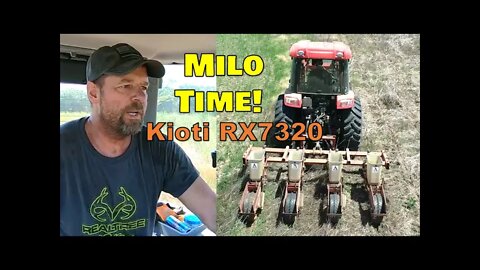 Planting Milo food plots for Deer, turkey, & quail with Kioti RX7320 & AC 4 row no till planter