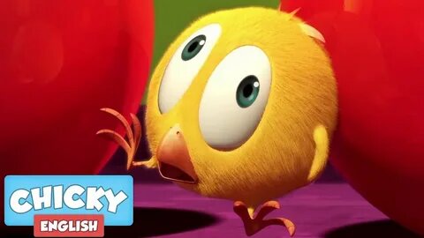 Where's Chicky? Funny Chicky 2020 | BABY CHICKY | Chicky Cartoon in English for Kids