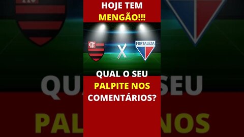 HOJE TEM MENGÃO!!! FLAMENGO X FORTALEZA NO MARACANÃ, ÀS 16HS PELO CAMPEONATO BRASILEIRO - É TRETA