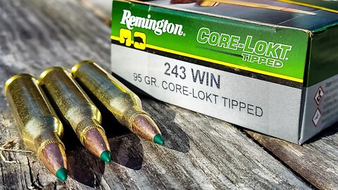 .243 Win Remington Core-Lokt Tipped | 100 Yard Ammo Test (I'M VERY IMPRESSED)