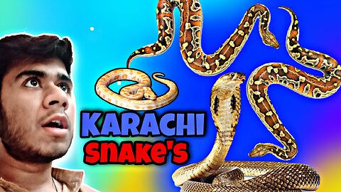 Snakes Videos In Karachi Garden