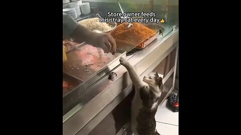 Cute Animals🤩 Funny videos. That You Have to See in your Life.