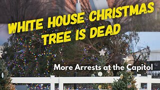 White House Christmas Tree is Dead, and Protesters disrupt Capitol Tree lighting (and get arrested).