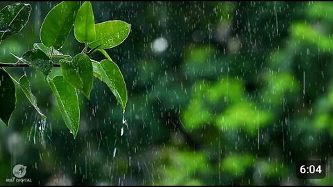 Beautiful rain raining scenery /nature video /beautiful rain HD nature #