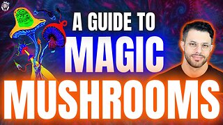 The Best Way to Use Magic Mushrooms