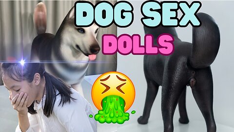 Customizable Dog Sex Dolls with Realistic Genitals: The Latest Craze for Pet Lovers