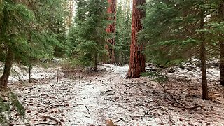 Leaving Edison Log Cabin Shelter & SILENT 4K SERENE & PRISTINE Winter Snow Hiking! | Central Oregon