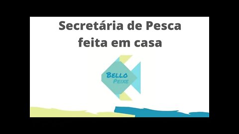 COMO FAZER EM CASA UMA SECRETÁRIA PARA PESCARIA DE PRAIA - Bello Peixe