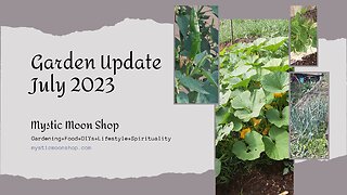 Garden Update July 2023, Grow Your Own Food