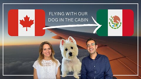 FIRST TIME FLYING AIRCANADA WITH OUR DOG IN THE CABIN FROM CANADA TO MEXICO
