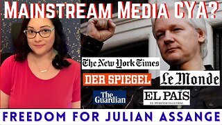 Mainstream Media Reacts | Julian Assange
