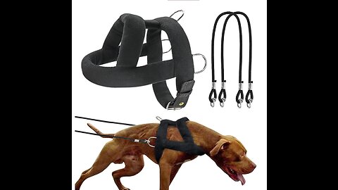 Adjustable Dog Weight Pulling Training Harness Pulling Leash For Medium Large Work