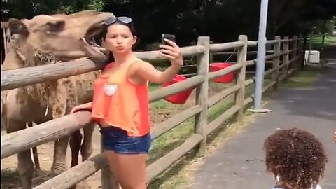A camel almost crushed a woman's skull when she wanted to take a selfie with him