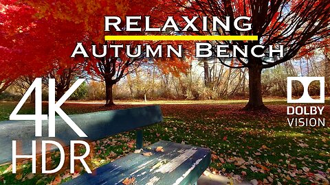 4K HDR Dolby Vision Nature - "Benched By Autumn's Beauty" Cool Jazz Lazy Day