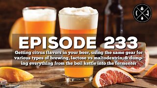 Citrus flavors, gear for alt styles, lactose vs maltodextrin, trub & hops in the fermenter - Ep.233