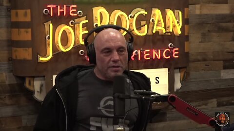 Joe Rogan Chef Holzman on the Best Wayto Learn to cook