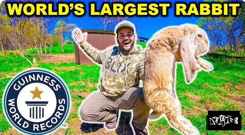 I bought the WORLD’S LARGEST RABBIT at the auction