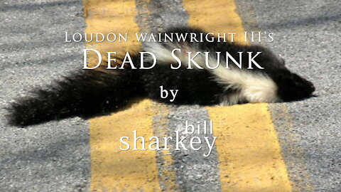 Dead Skunk - Loudon Wainwright III (cover-live by Bill Sharkey)