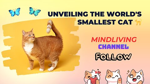 Unveiling the World's Smallest Cat 🐈