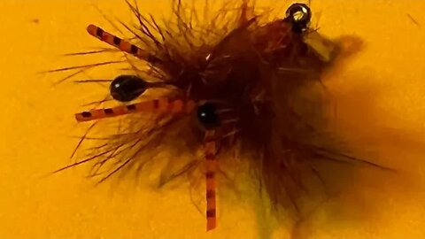 The Ultimate Carp Fly the #6 Fighting Crawfish w/ Cray&Shrimp Tail Flymen.com #fishing #bass #carp